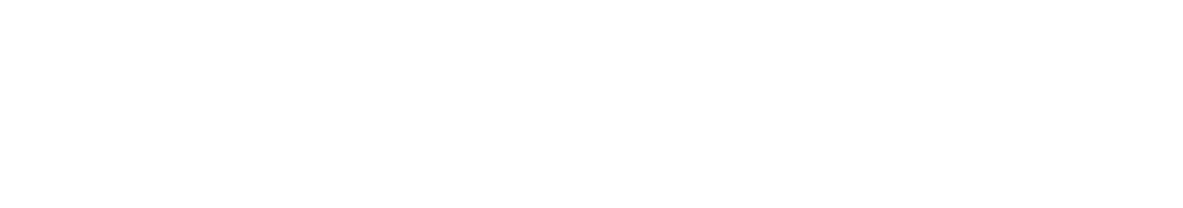 Siamo Noi